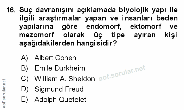 Soru 16