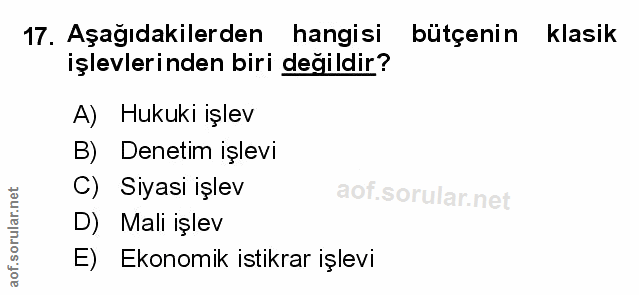 Soru 17