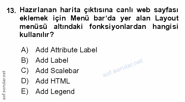 Soru 13