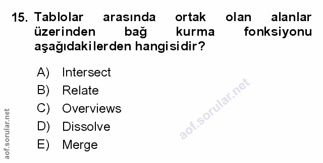 Soru 15