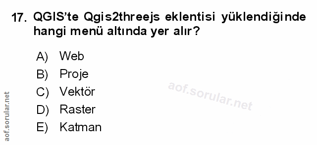Soru 17