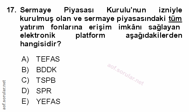 Soru 17