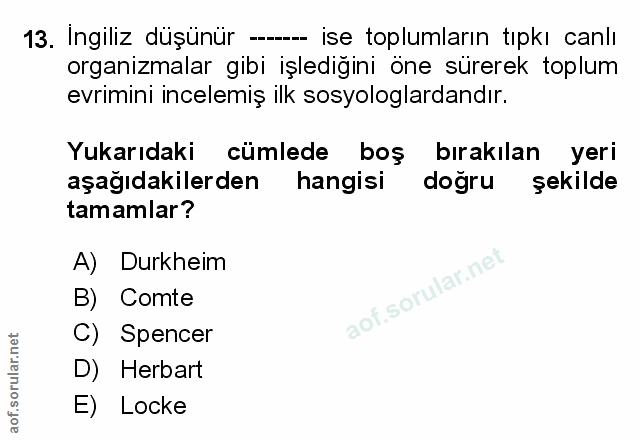 Soru 13