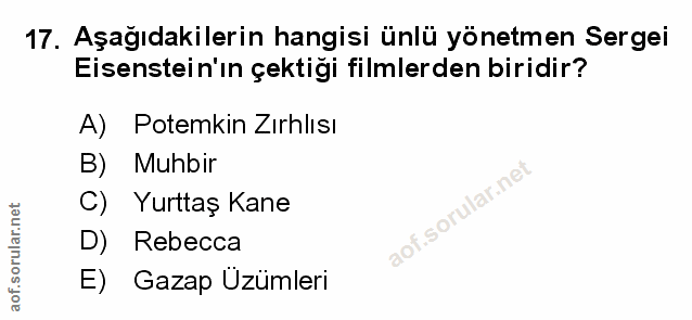 Soru 17