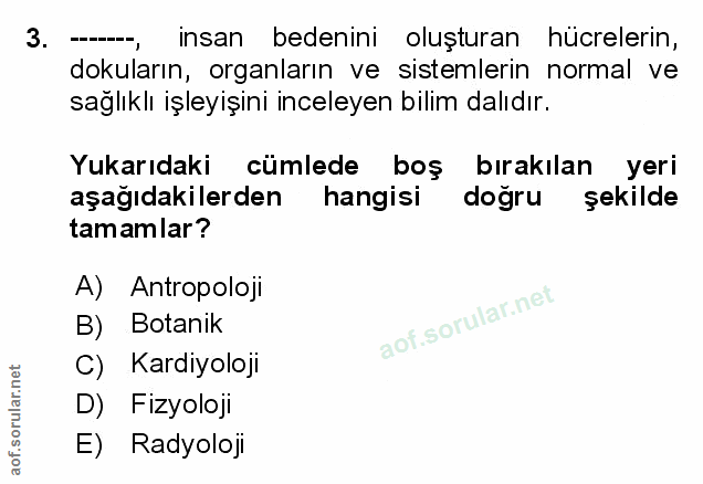 Soru 3