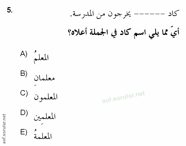 Soru 5
