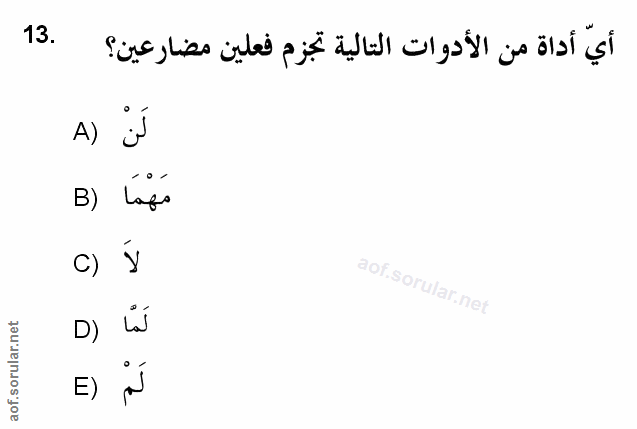 Soru 13