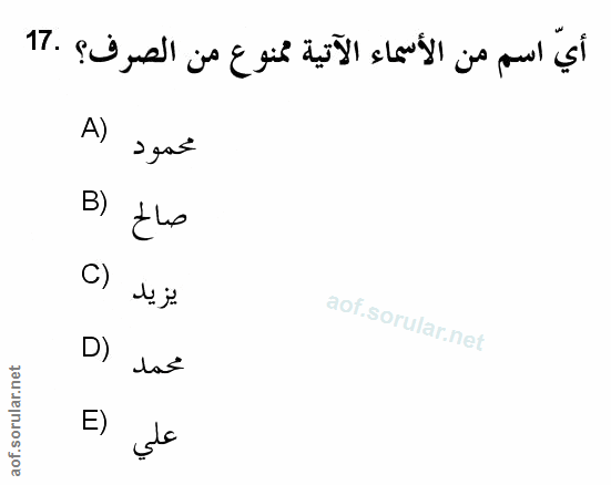 Soru 17