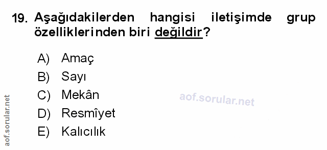 Soru 19