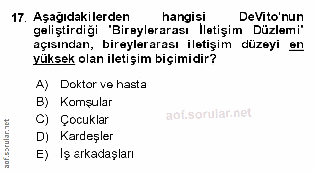 Soru 17
