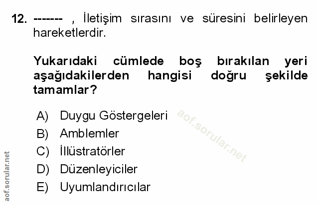 Soru 12