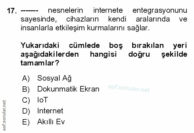 Soru 17