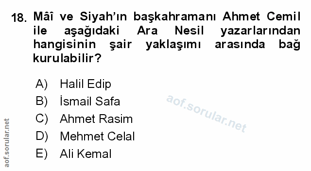 Soru 18