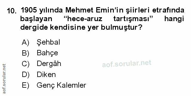 Soru 10