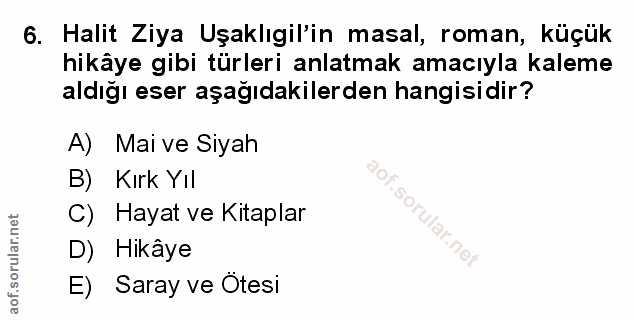 Soru 6