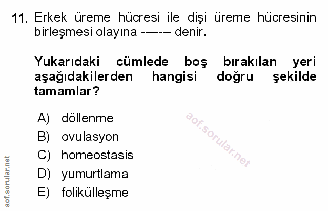 Soru 11