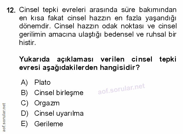 Soru 12