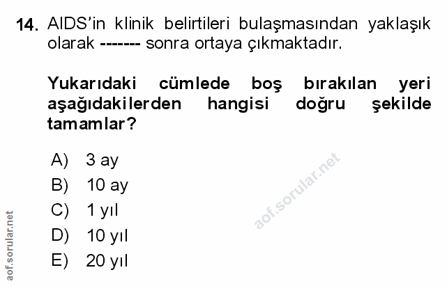 Soru 14