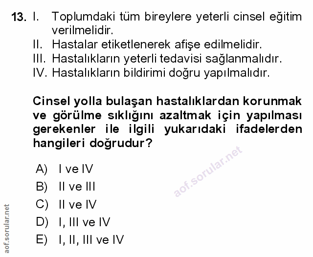 Soru 13
