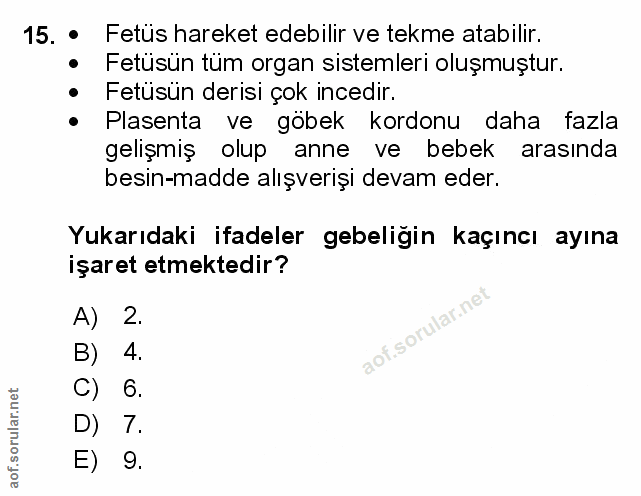 Soru 15