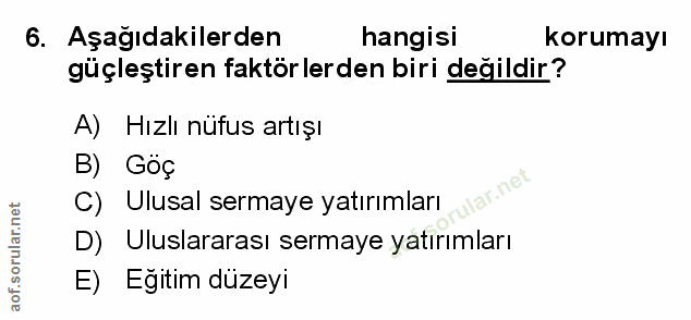 Soru 6