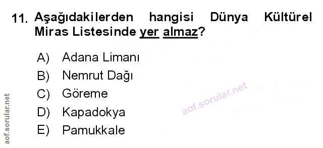Soru 11