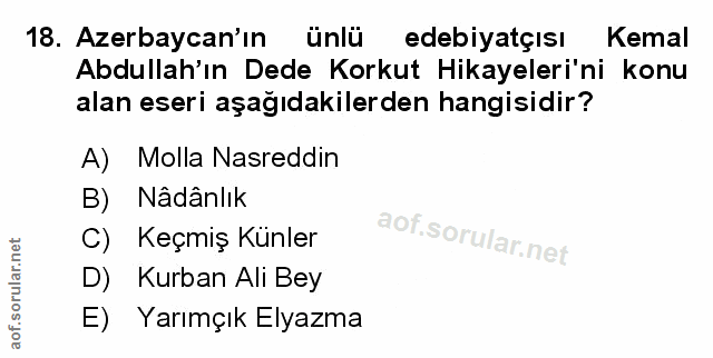 Soru 18