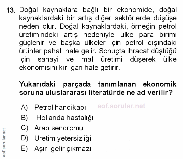 Soru 13