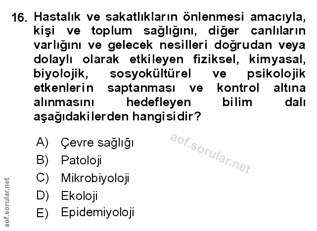 Soru 16