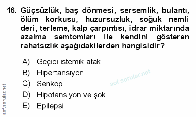 Soru 16
