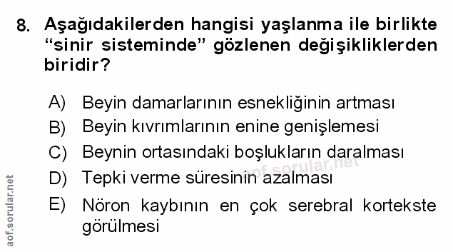 Soru 8