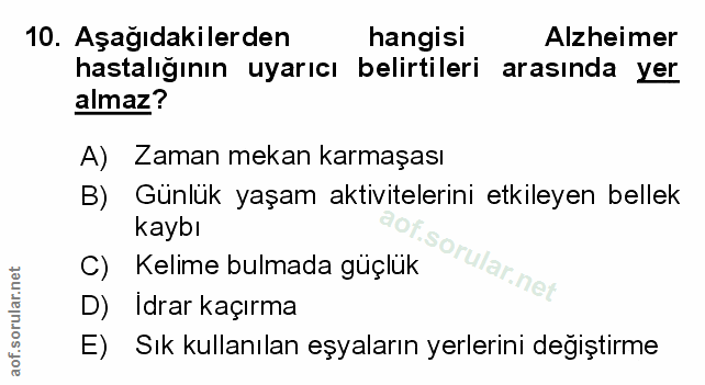 Soru 10