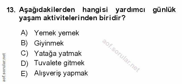 Soru 13