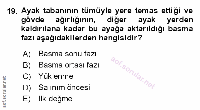 Soru 19