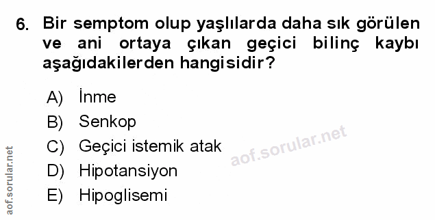 Soru 6