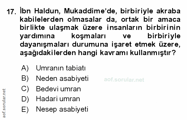 Soru 17