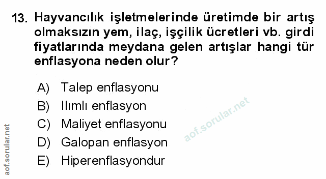 Soru 13