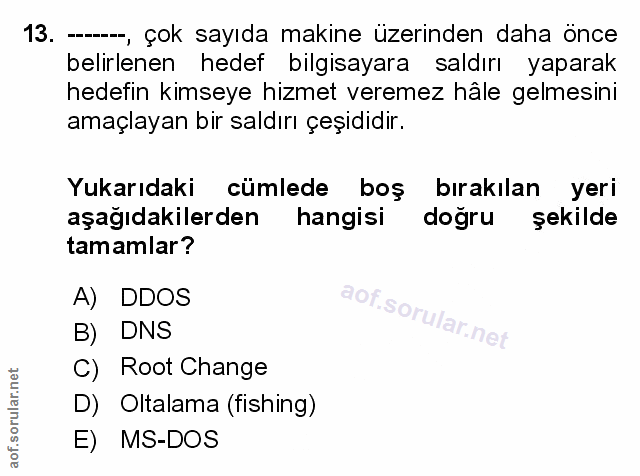 Soru 13