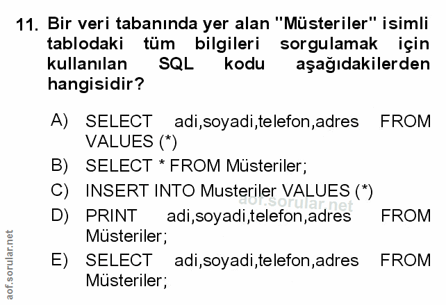 Soru 11