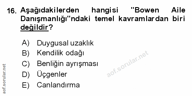 Soru 16