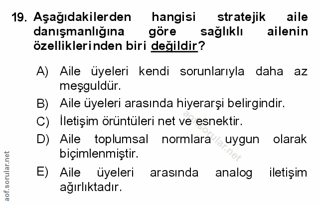 Soru 19