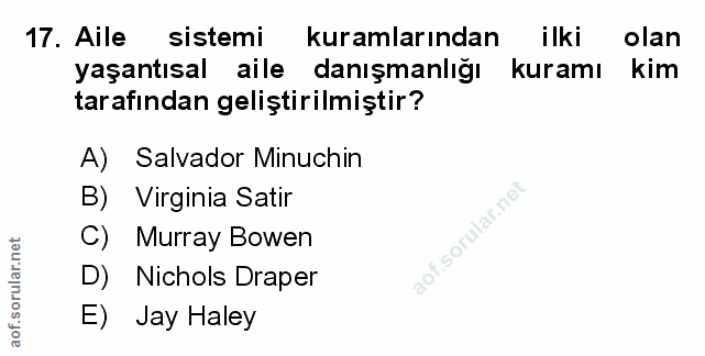 Soru 17