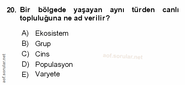 Soru 20