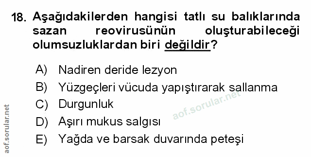 Soru 18