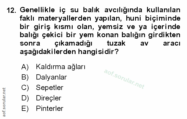Soru 12