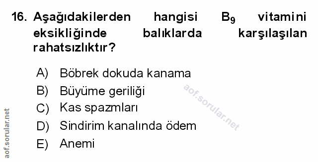 Soru 16