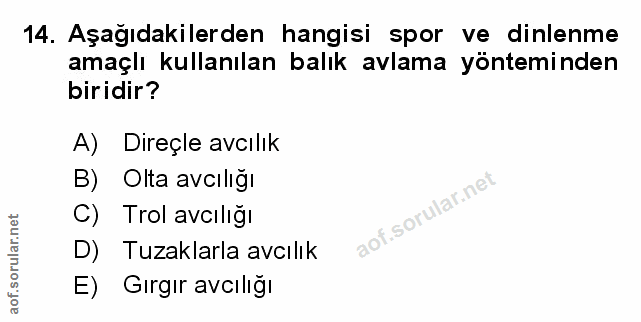 Soru 14