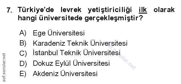 Soru 7