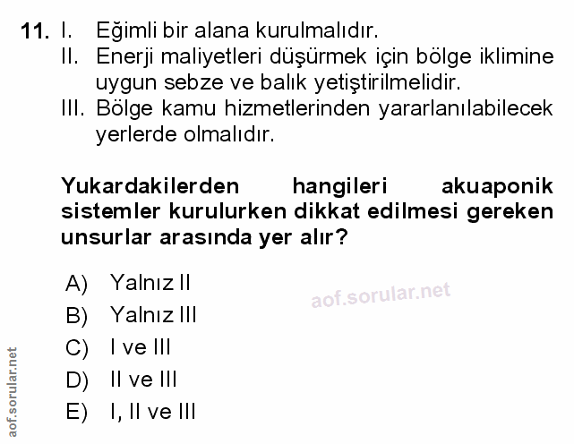 Soru 11