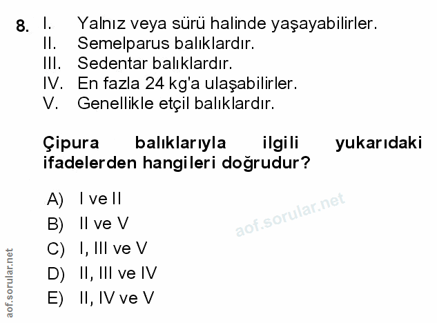 Soru 8